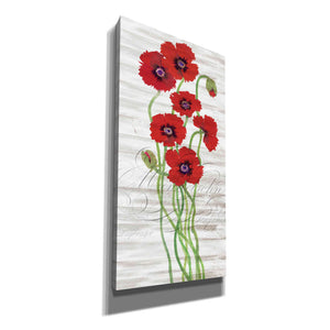 'Red Poppy Panel II' by Tim O'Toole, Canvas Wall Art