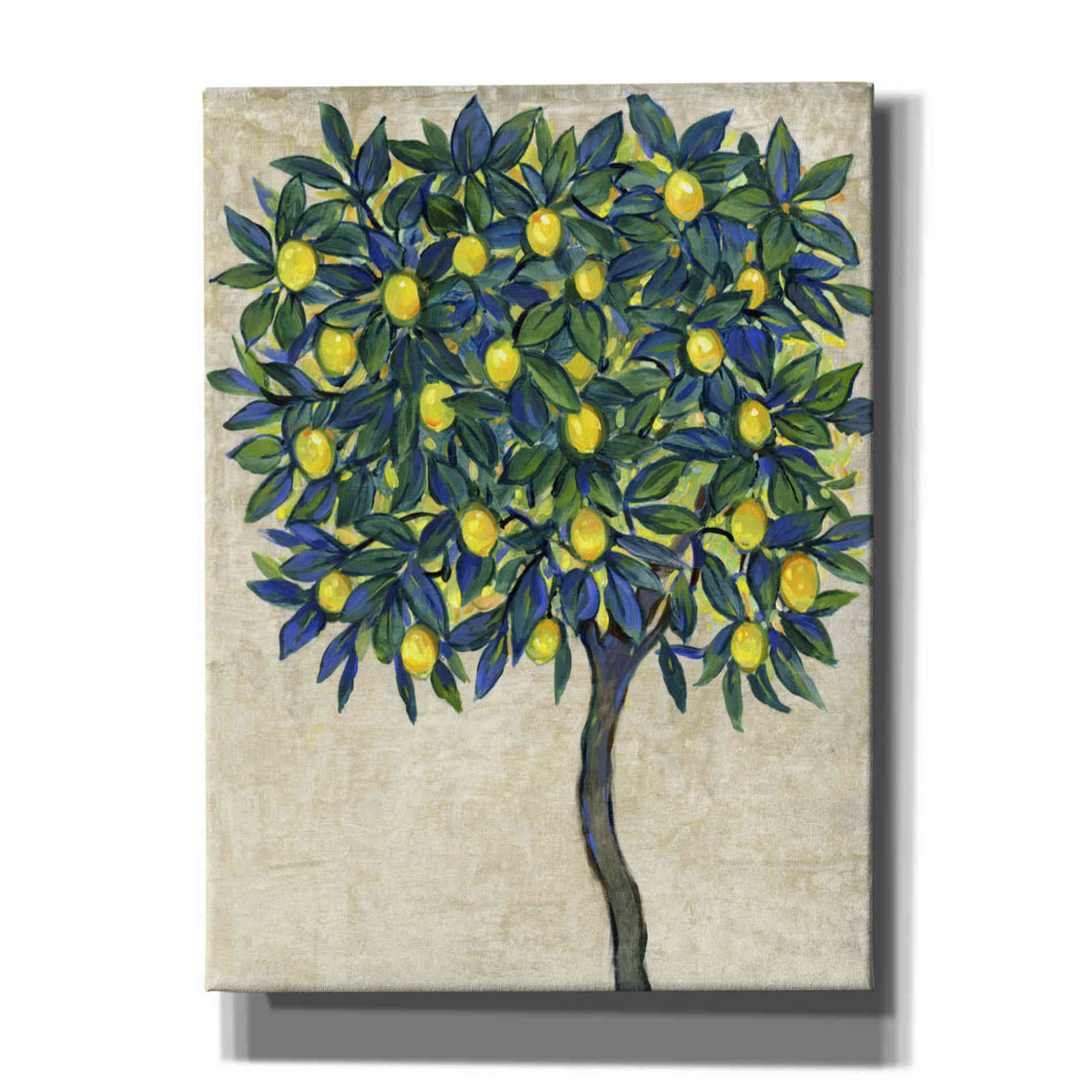'Lemon Tree Composition I' by Tim O'Toole, Canvas Wall Art