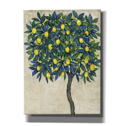 Image of 'Lemon Tree Composition I' by Tim O'Toole, Canvas Wall Art