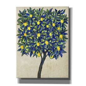 'Lemon Tree Composition II' by Tim O'Toole, Canvas Wall Art