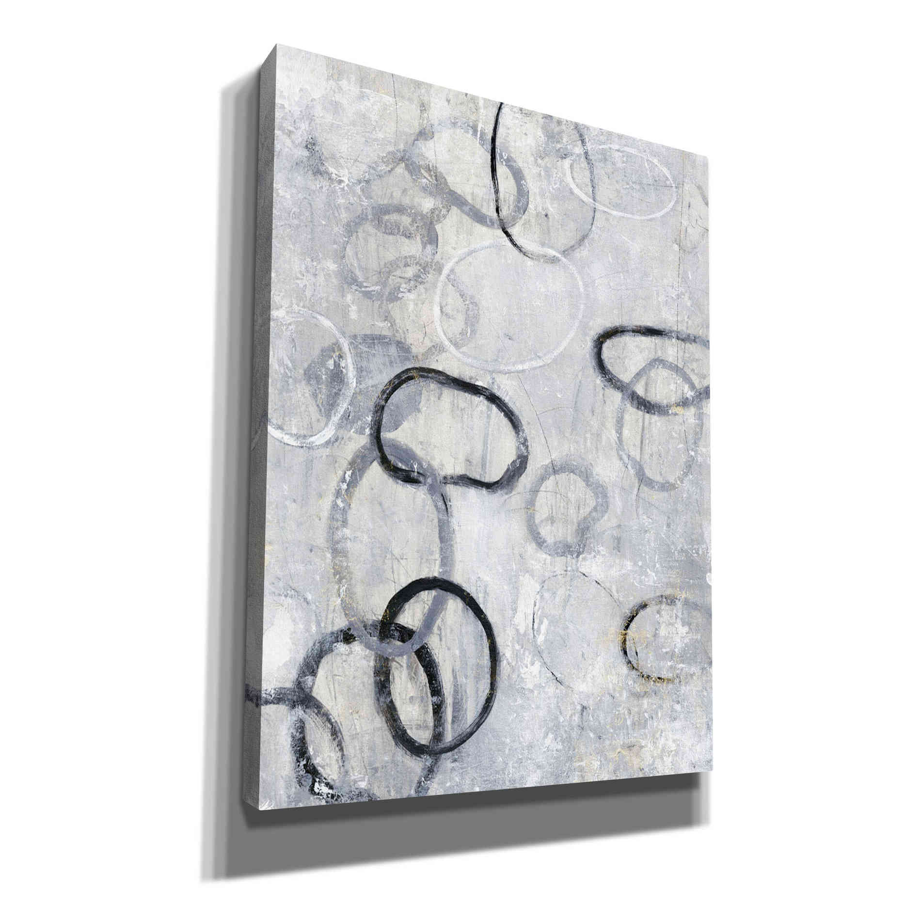 'Missing Links II' by Tim O'Toole, Canvas Wall Art
