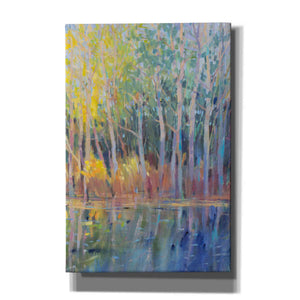 'Reflected Trees I' by Tim O'Toole, Canvas Wall Art
