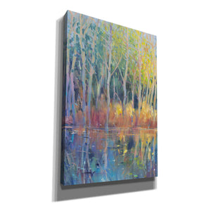 'Reflected Trees II' by Tim O'Toole, Canvas Wall Art