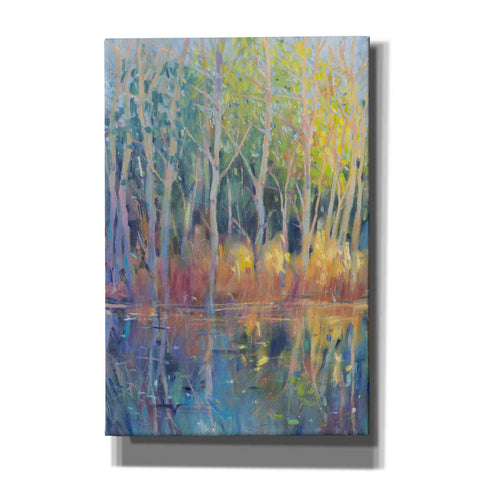 Image of 'Reflected Trees II' by Tim O'Toole, Canvas Wall Art