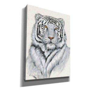 'White Tiger I' by Tim O'Toole, Canvas Wall Art