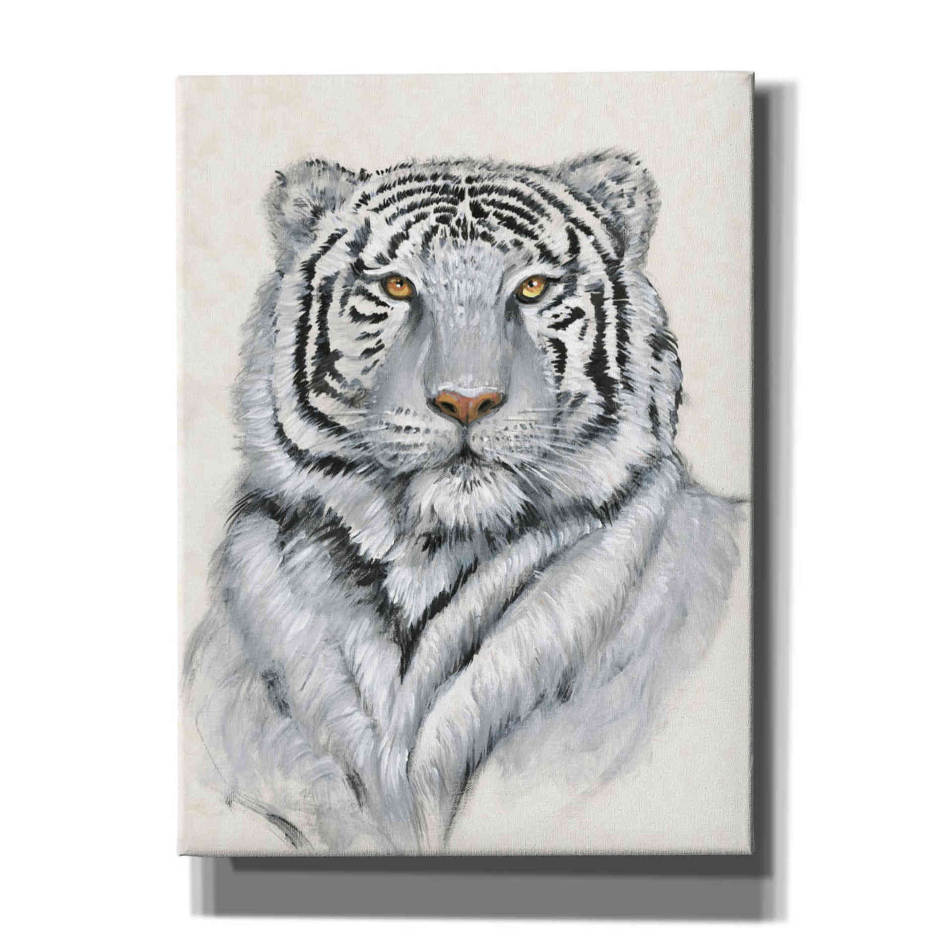 'White Tiger I' by Tim O'Toole, Canvas Wall Art