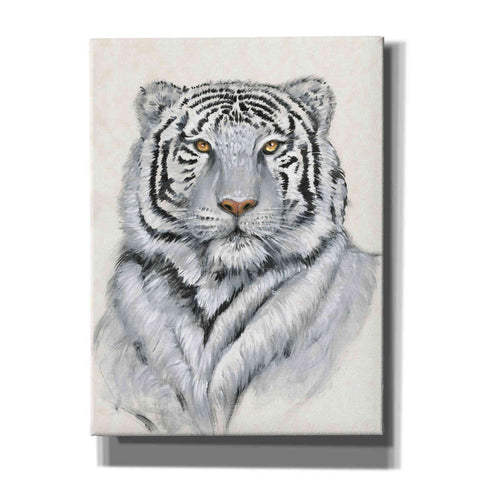 Image of 'White Tiger I' by Tim O'Toole, Canvas Wall Art