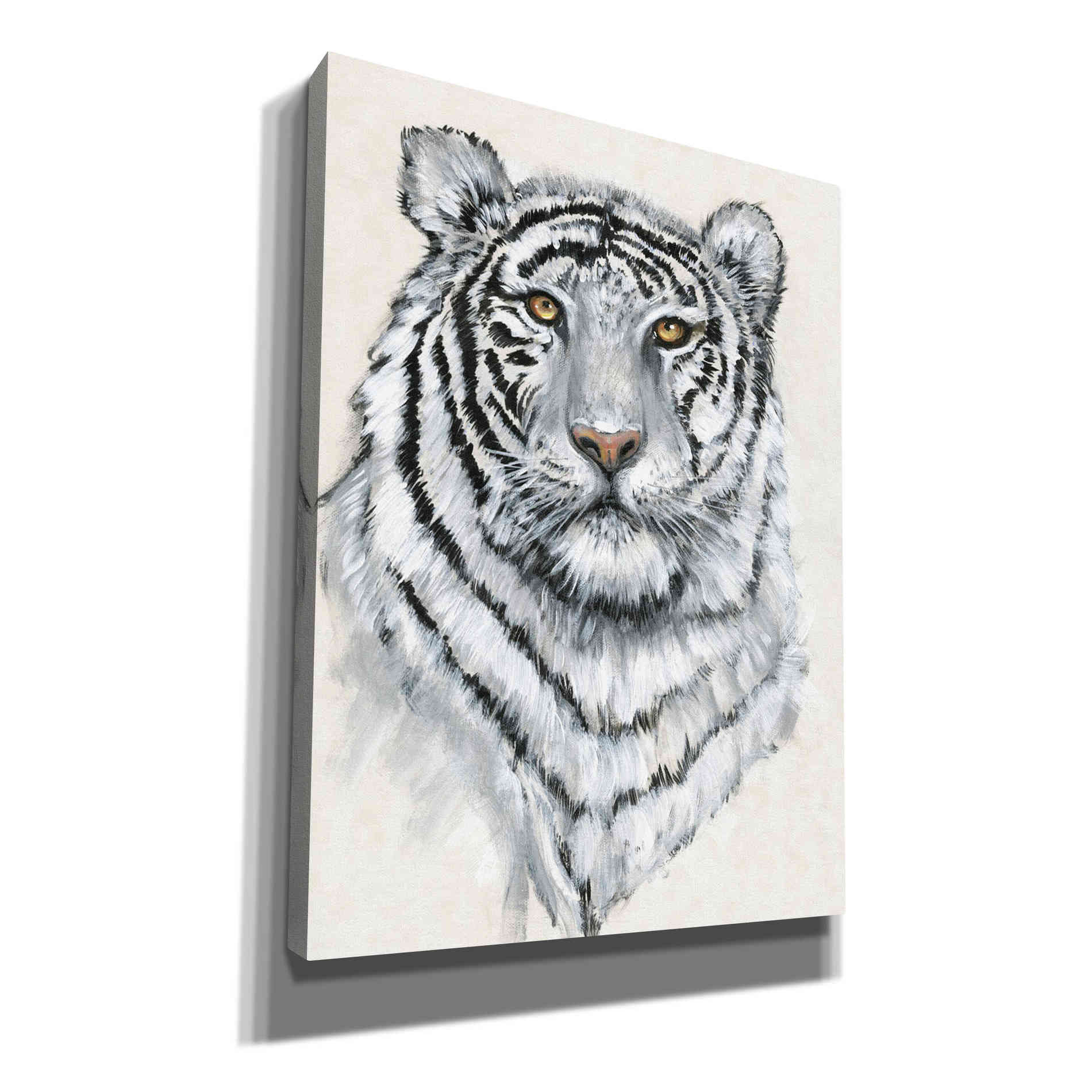 'White Tiger II' by Tim O'Toole, Canvas Wall Art