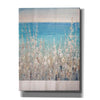 'Flowers by the Sea II' by Tim O'Toole, Canvas Wall Art