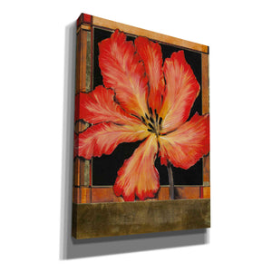 'Embellished Parrot Tulip I' by Tim O'Toole, Canvas Wall Art