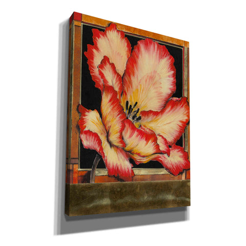 Image of 'Embellished Parrot Tulip II' by Tim O'Toole, Canvas Wall Art