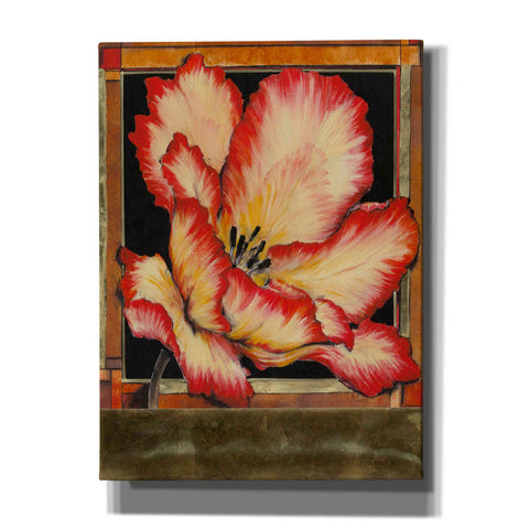 Image of 'Embellished Parrot Tulip II' by Tim O'Toole, Canvas Wall Art
