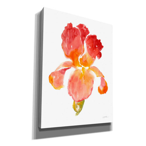 Image of 'Sunset Blooms I' by Tim O'Toole, Canvas Wall Art