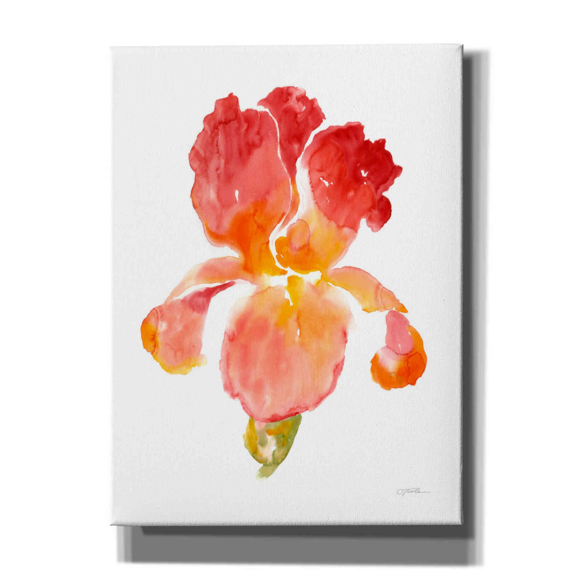 'Sunset Blooms I' by Tim O'Toole, Canvas Wall Art