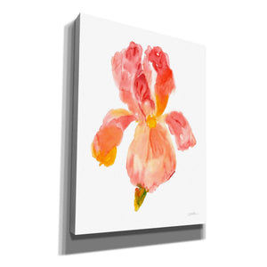'Sunset Blooms II' by Tim O'Toole, Canvas Wall Art