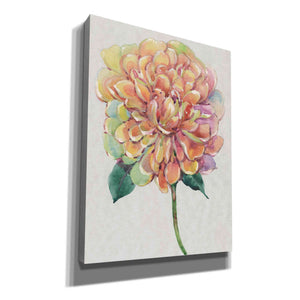 'Multicolor Floral I' by Tim O'Toole, Canvas Wall Art