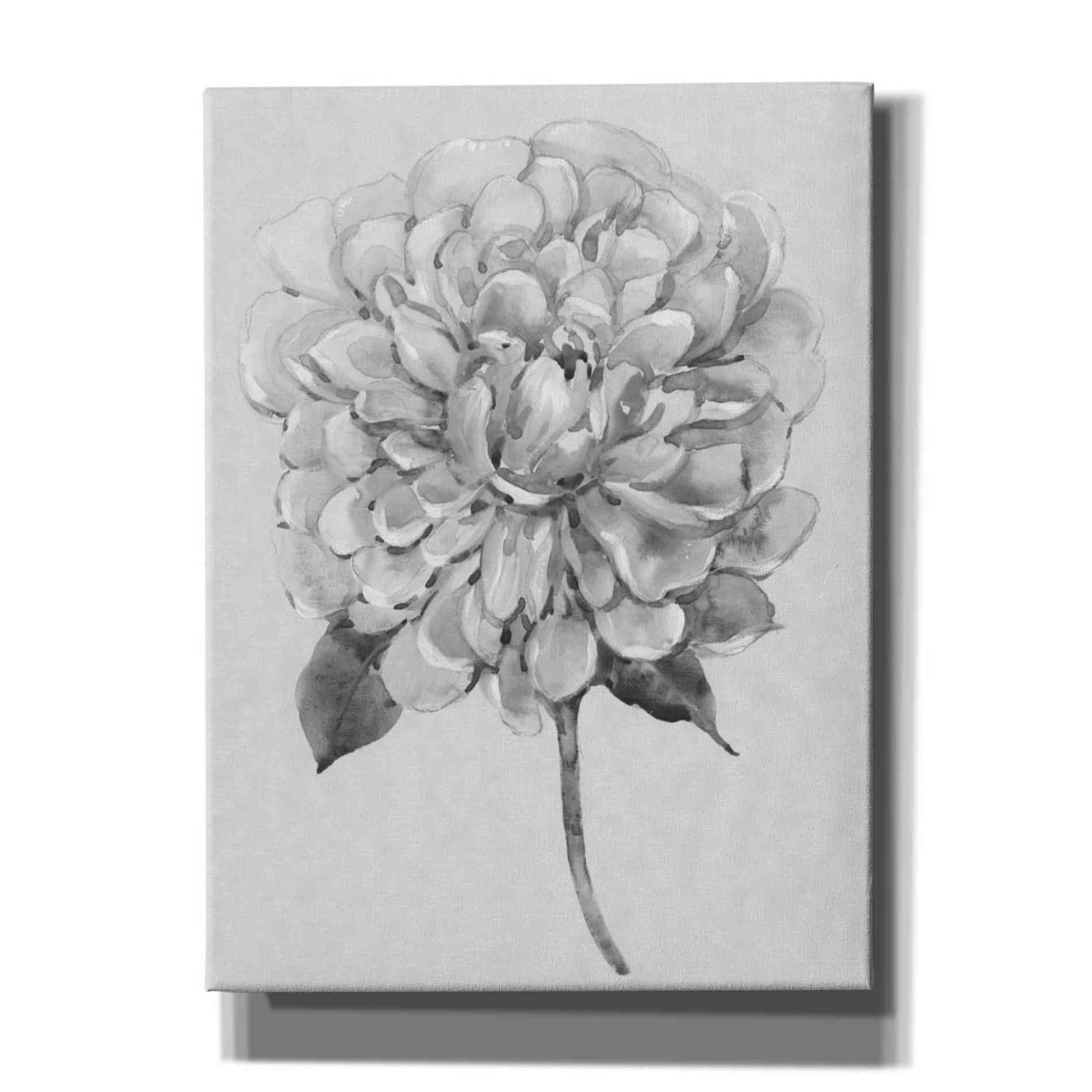 'Silvertone Floral I' by Tim O'Toole, Canvas Wall Art