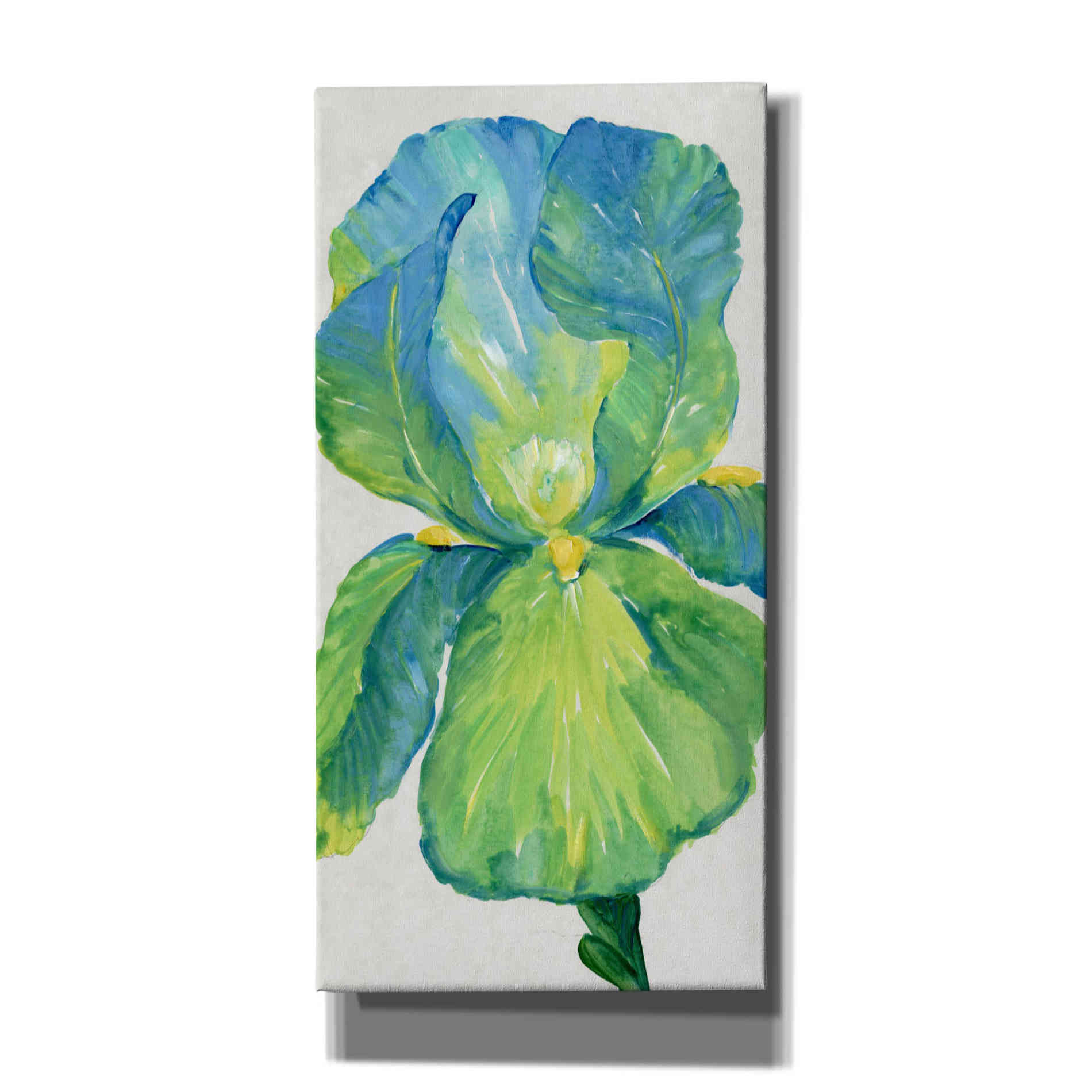'Iris Bloom in Green I' by Tim O'Toole, Canvas Wall Art