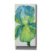 'Iris Bloom in Green I' by Tim O'Toole, Canvas Wall Art