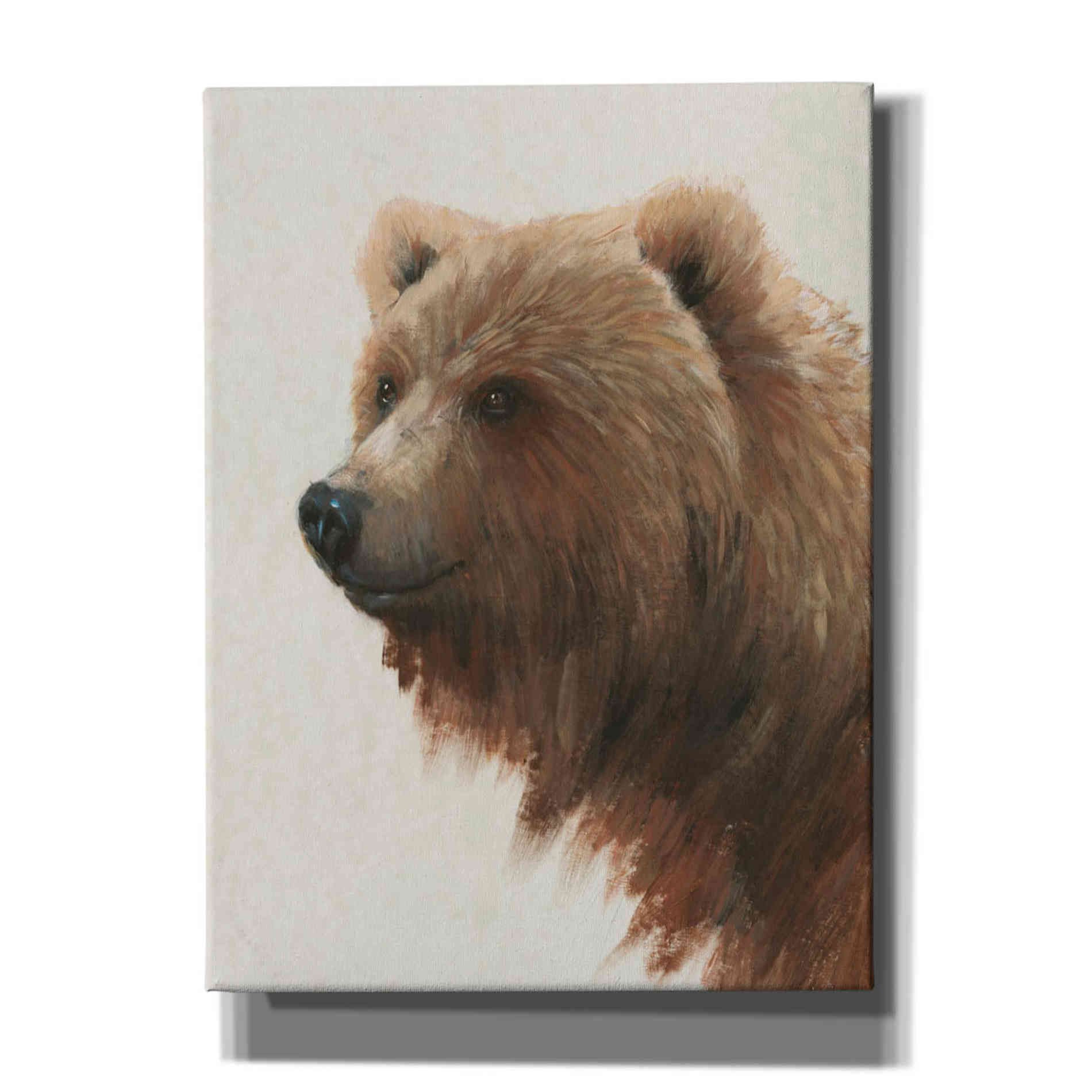 'Western Portrait I' by Tim O'Toole, Canvas Wall Art