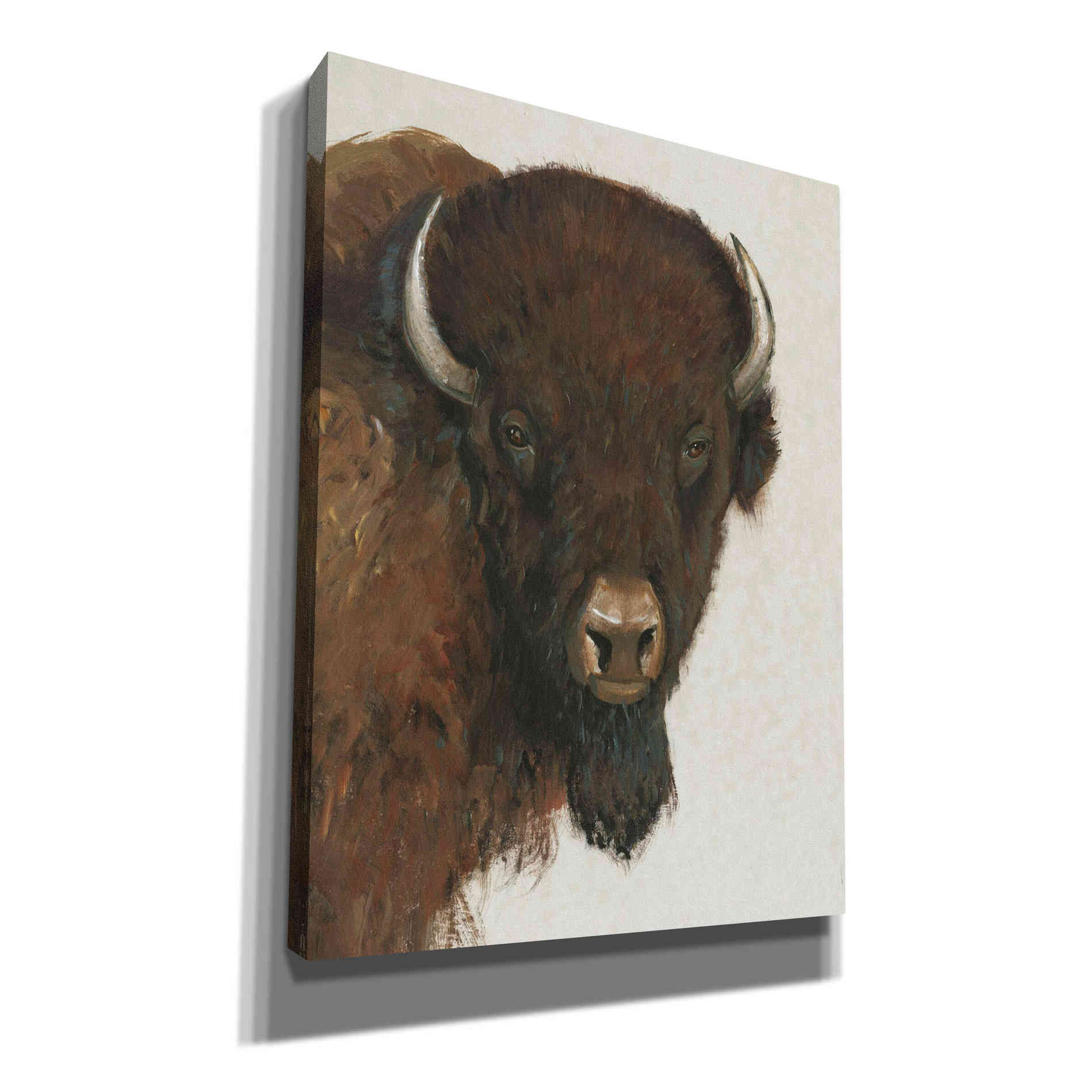 'Western Portrait II' by Tim O'Toole, Canvas Wall Art