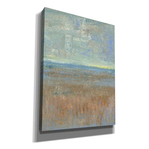 'Evening Marsh I' by Tim O'Toole, Canvas Wall Art