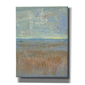 'Evening Marsh I' by Tim O'Toole, Canvas Wall Art