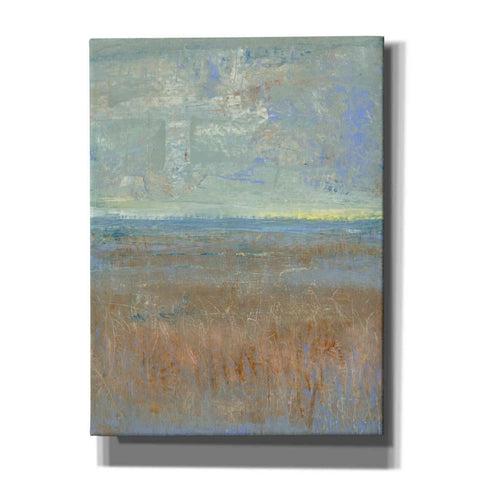 Image of 'Evening Marsh I' by Tim O'Toole, Canvas Wall Art