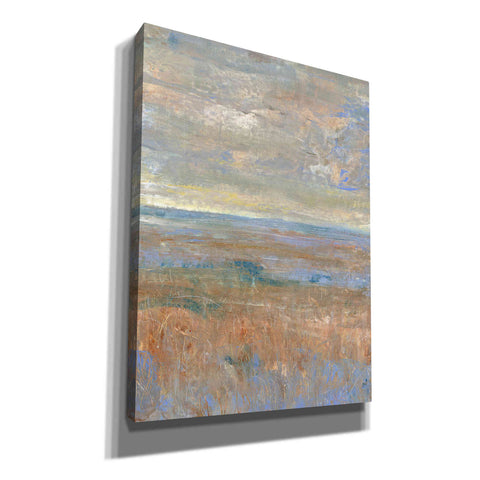 Image of 'Evening Marsh II' by Tim O'Toole, Canvas Wall Art