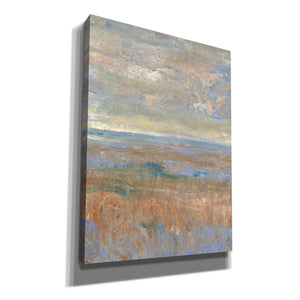 'Evening Marsh II' by Tim O'Toole, Canvas Wall Art