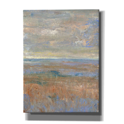 Image of 'Evening Marsh II' by Tim O'Toole, Canvas Wall Art