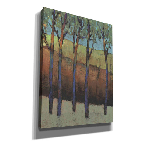 Image of 'Glimmer in the Forest I' by Tim O'Toole, Canvas Wall Art