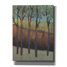 'Glimmer in the Forest I' by Tim O'Toole, Canvas Wall Art