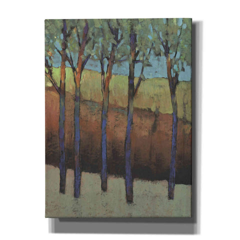 Image of 'Glimmer in the Forest I' by Tim O'Toole, Canvas Wall Art