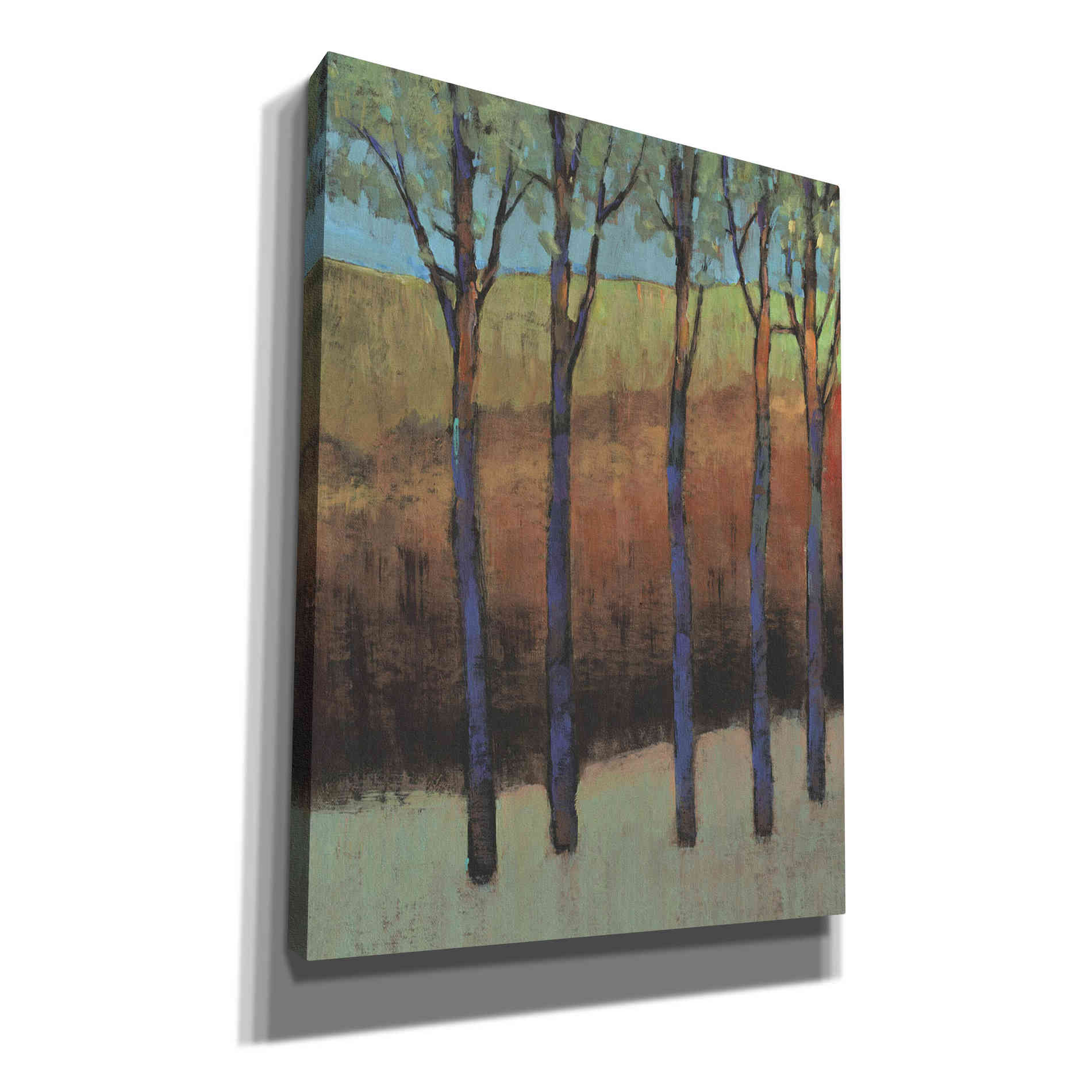 'Glimmer in the Forest II' by Tim O'Toole, Canvas Wall Art