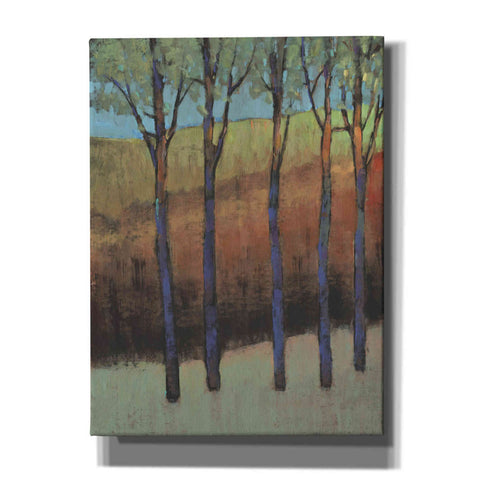 Image of 'Glimmer in the Forest II' by Tim O'Toole, Canvas Wall Art