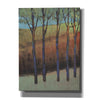 'Glimmer in the Forest II' by Tim O'Toole, Canvas Wall Art