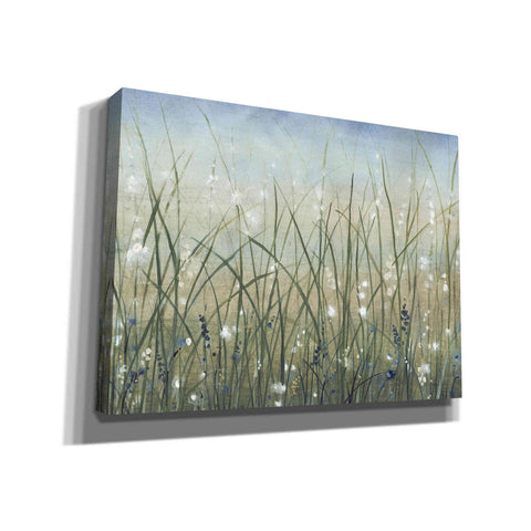 Image of 'Bliss II' by Tim O'Toole, Canvas Wall Art
