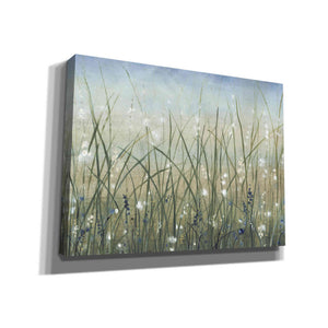 'Bliss II' by Tim O'Toole, Canvas Wall Art