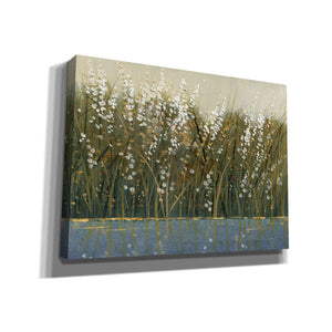 'By the Tall Grass I' by Tim O'Toole, Canvas Wall Art