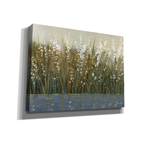 Image of 'By the Tall Grass II' by Tim O'Toole, Canvas Wall Art
