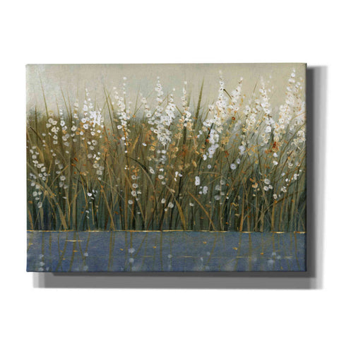Image of 'By the Tall Grass II' by Tim O'Toole, Canvas Wall Art