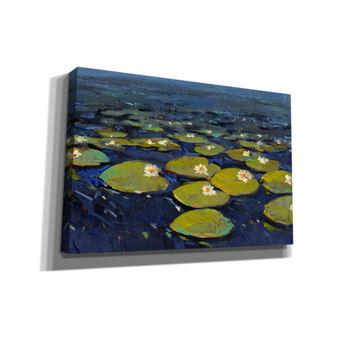 Image of 'Lily Pads I' by Tim O'Toole, Canvas Wall Art