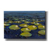 'Lily Pads I' by Tim O'Toole, Canvas Wall Art