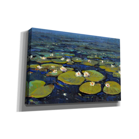 Image of 'Lily Pads II' by Tim O'Toole, Canvas Wall Art