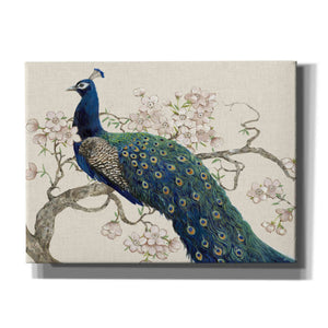 'Peacock & Blossoms II' by Tim O'Toole, Canvas Wall Art