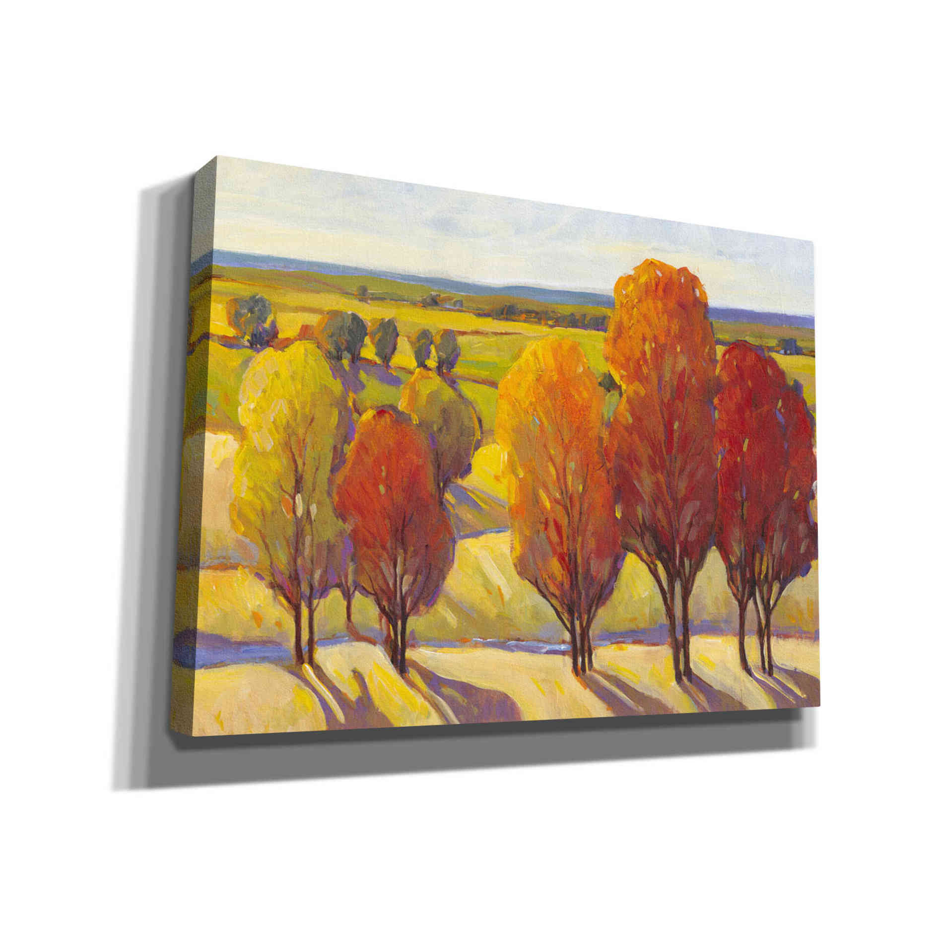 'Day Glow I' by Tim O'Toole, Canvas Wall Art