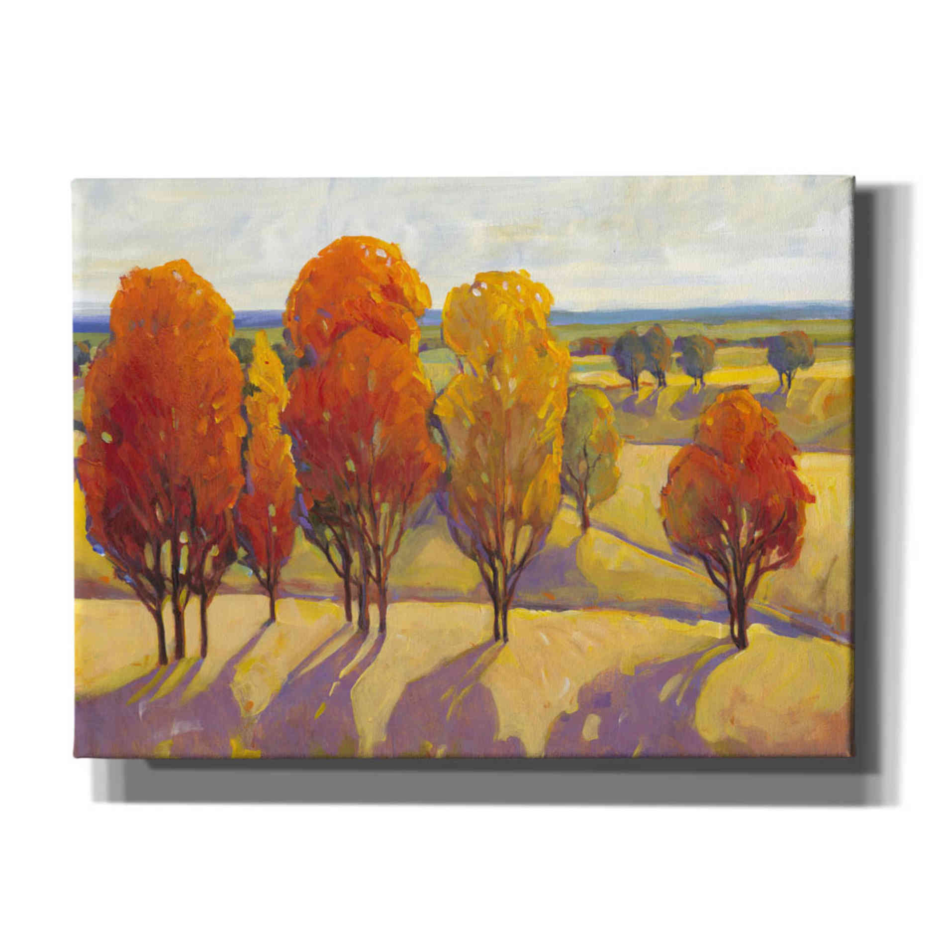 'Day Glow II' by Tim O'Toole, Canvas Wall Art