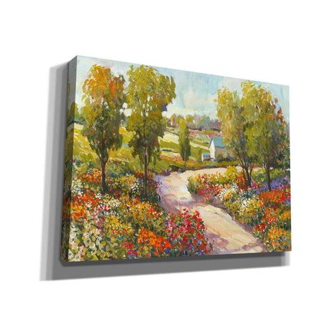 Image of 'Morning Walk I' by Tim O'Toole, Canvas Wall Art