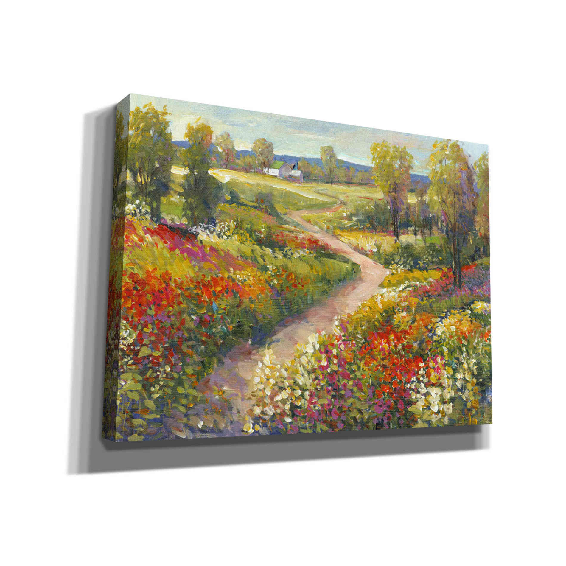 'Morning Walk II' by Tim O'Toole, Canvas Wall Art